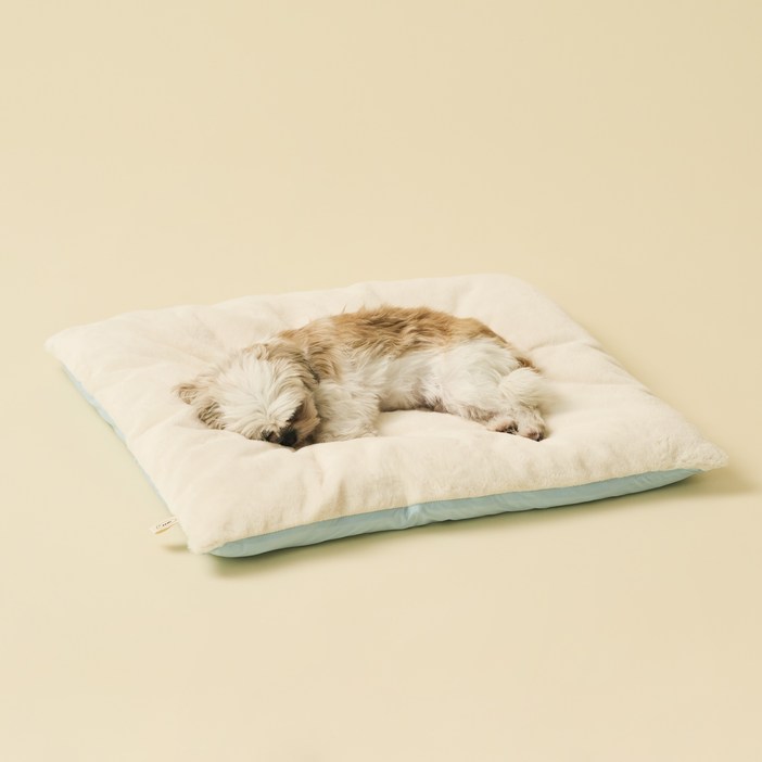 동원아르르 꿀잠 이불