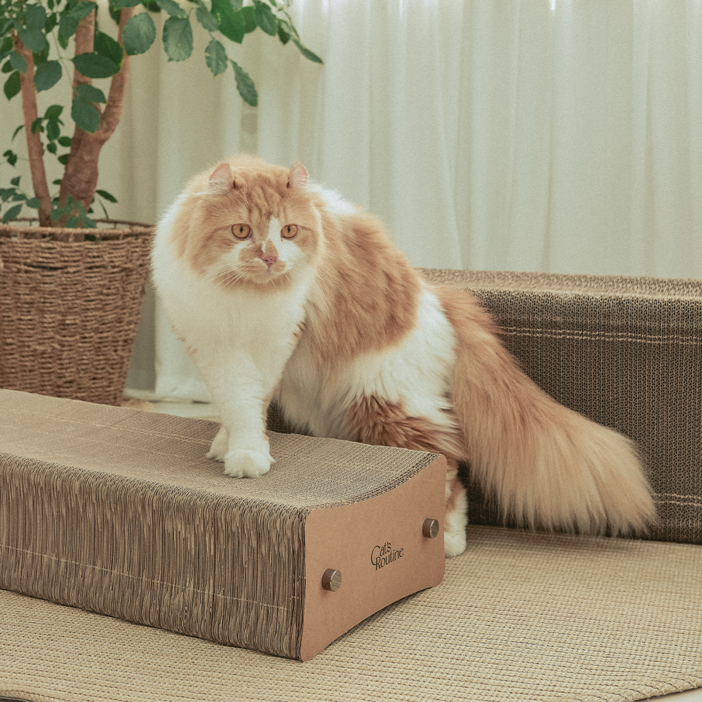 캣츠루틴 고양이 평판형 스크래쳐 라운지 스크래칭 보드 290, 혼합색상, 1개 - 쇼핑앤샵