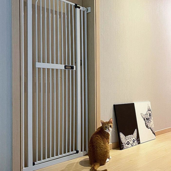 아토주 가두리 펫 안전문, 화이트, 1개