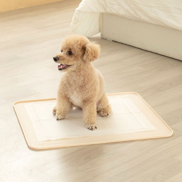 펫트리움 강아지 논슬립 실리콘 배변매트 화장실, 단일색상, 1개