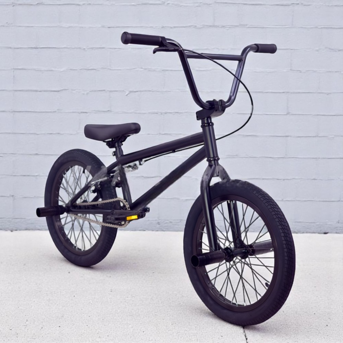 셔닉스 BMX 묘기 자전거 입문용