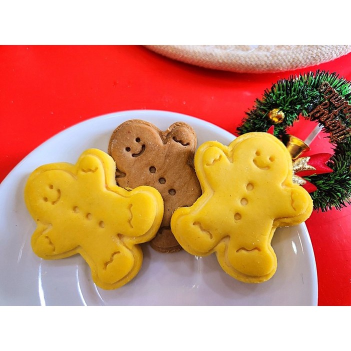 강아지크리스마스선물 