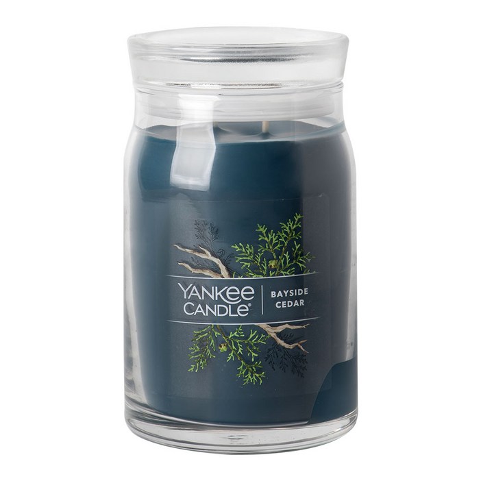 양키캔들 시그니처 라지 567 g, 05 프랄린 앤 버치, 1개