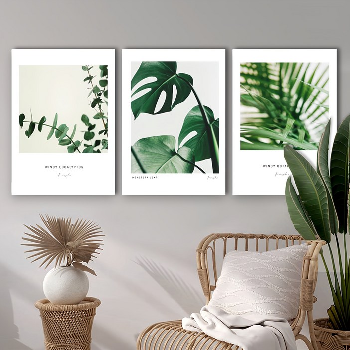 퍼니즈 폼보드 슬림액자 3종 세트 윈디보테니