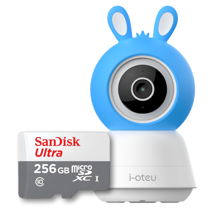 아이오트 스마트 홈카메라 400만화소 베이비캠 가정용 홈 CCTV, L400SD 256GB, 1개