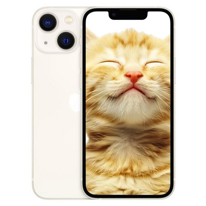 아이폰 13 미니 새상품 미개봉