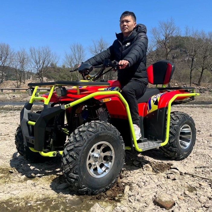 사륜 오토바이 사발이 팜트럭, 워리어 스타일 200, 기본 모델명/품번