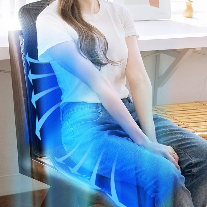 더쎈 12팬 가정용 사무실 쿨링시트 자동차 통풍시트, 1개, 24V 시거잭+가정용아답터