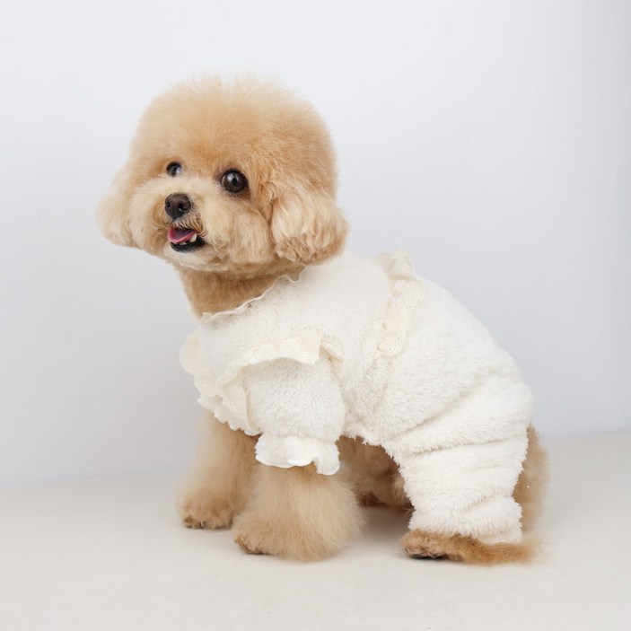 그루밍독 강아지 보아크림 올인원 원피스 바지