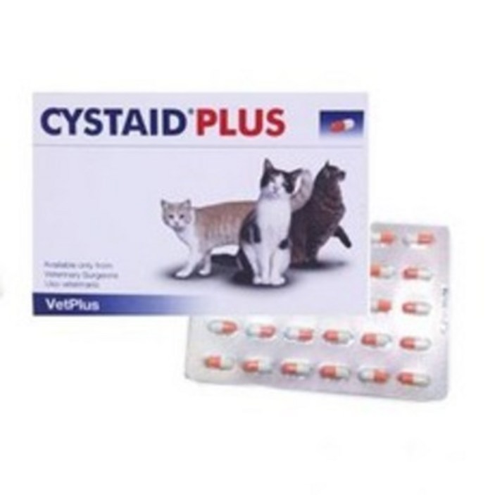 시스테이드 고양이 캣 시스테이드 플러스[1+1] 총 60캡슐