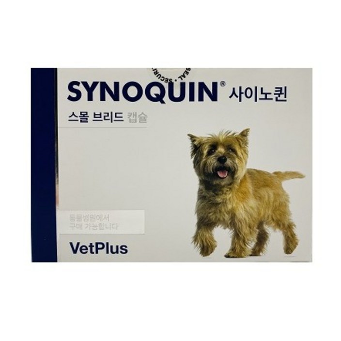 사이노퀸 소형견 관절 영양제 30캡슐 SYNOQUIN 20230511