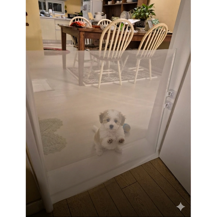 모노리 반려동물 무타공 슬라이딩 길이조절 안전문 메쉬 울타리 가림막 펜스