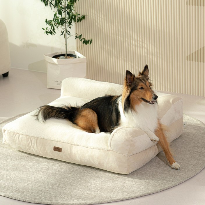 펫테일 강아지 은나노 리저브 방석 쿠션 침대 쇼파, 네추럴 베이지 L + 미니쿠션 2개
