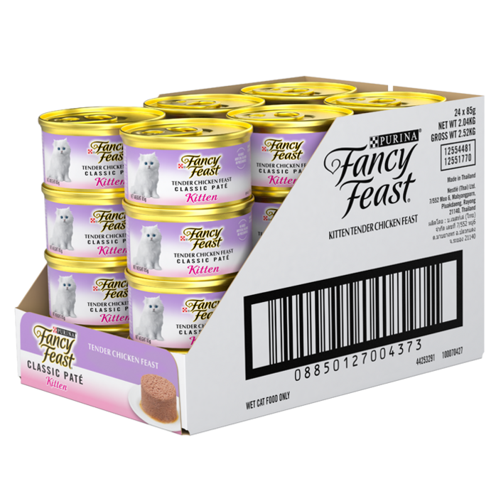 팬시피스트 키튼 고양이 주식캔