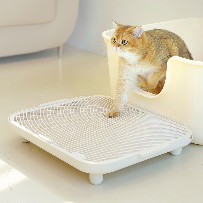 소심한호랑이 고양이 심쿵발판, 아이보리, 1개
