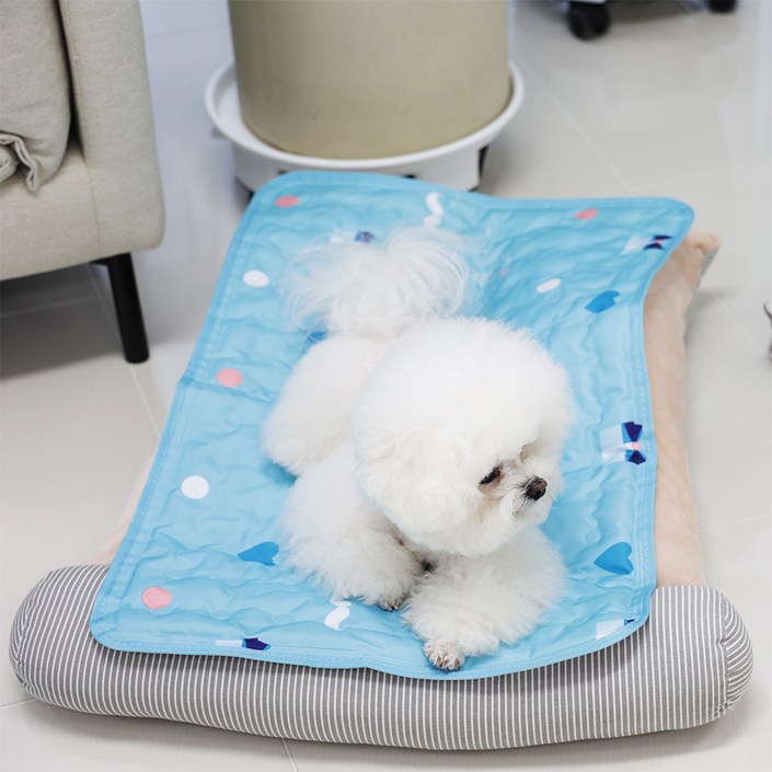 마이또 반려동물 러브 시리즈 쿨매트, 블루 마이또 반려동물 러브 시리즈 쿨매트, 블루