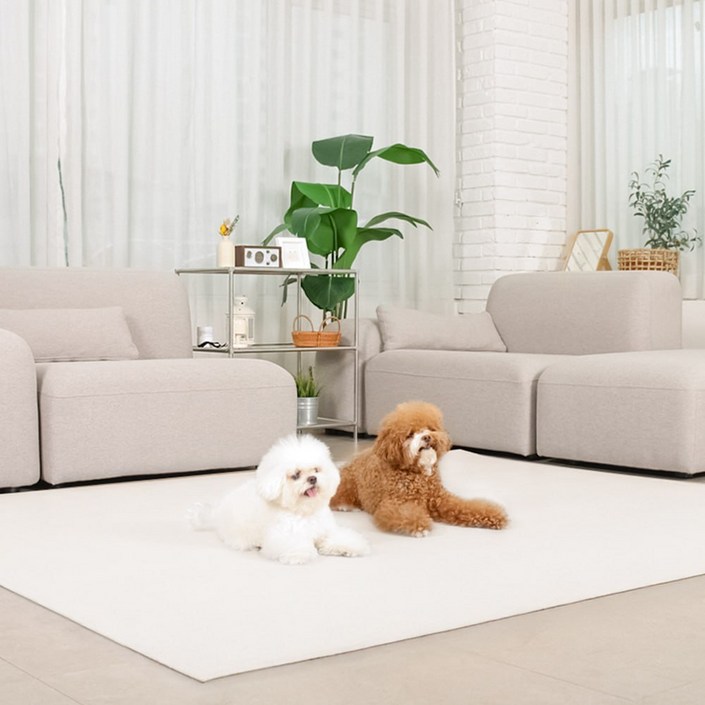 초코펫하우스 강아지 논슬립 레더 매트, 아이보리, 1개