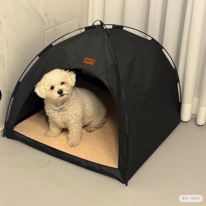 디클펫 반려동물 365 텐트 하우스