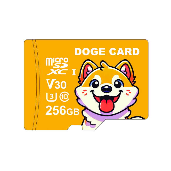 도지카드 마이크로 SD카드 UHSI 블랙박스 전용 메모리카드, 1개, 256GB