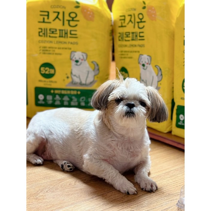 코지온 레몬패드 절약형 애견패드52매 x 4팩  208매
