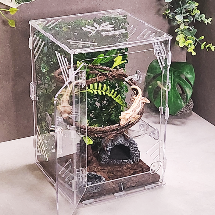 에버리움 크레스티드 게코 도마뱀 아크릴 사육장 세트 - 소형 20x20x30cm