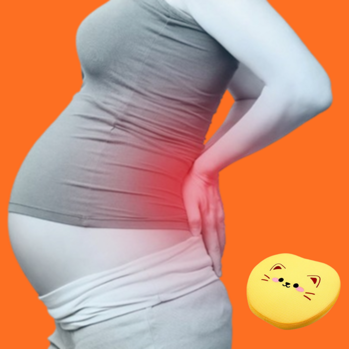 환도선다 임산부 방석 올바른싯, 토끼, 1개