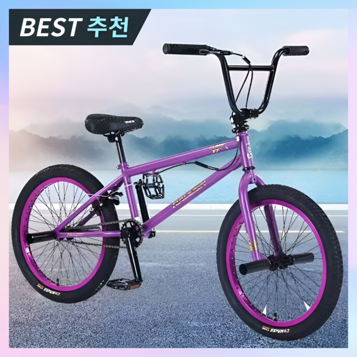 다인테크 튼튼한 bmx 자전거 입문용 익스트림 묘기 한강 바이크 스턴트 성인 20인치, 1개, 142cm, 회전핸들퍼플 프레임블랙타이어