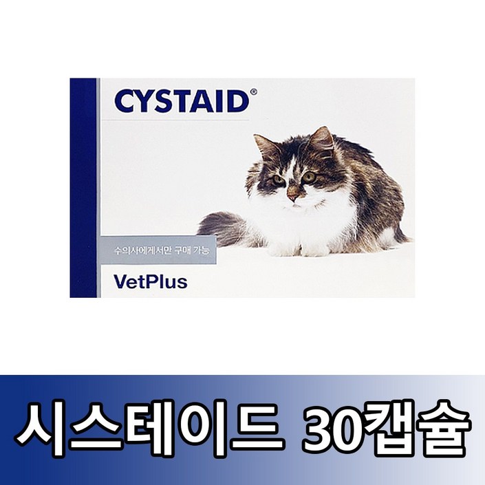뱃플러스 시스테이드 플러스 고양이 영양보조제 20240323