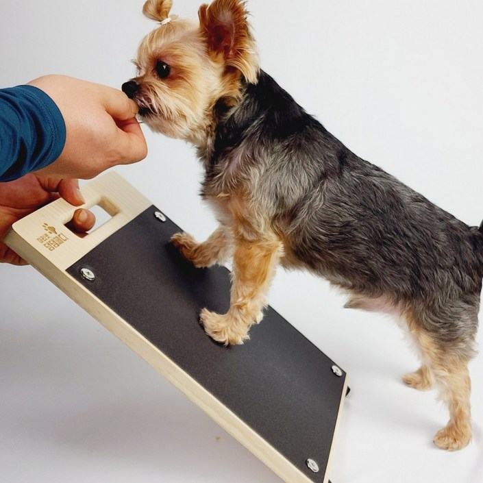 마리펫 댕댕페디 강아지 발톱 갈이 관리 놀이 사포 도마, 소형기본형340X238mm리뉴얼, 1개