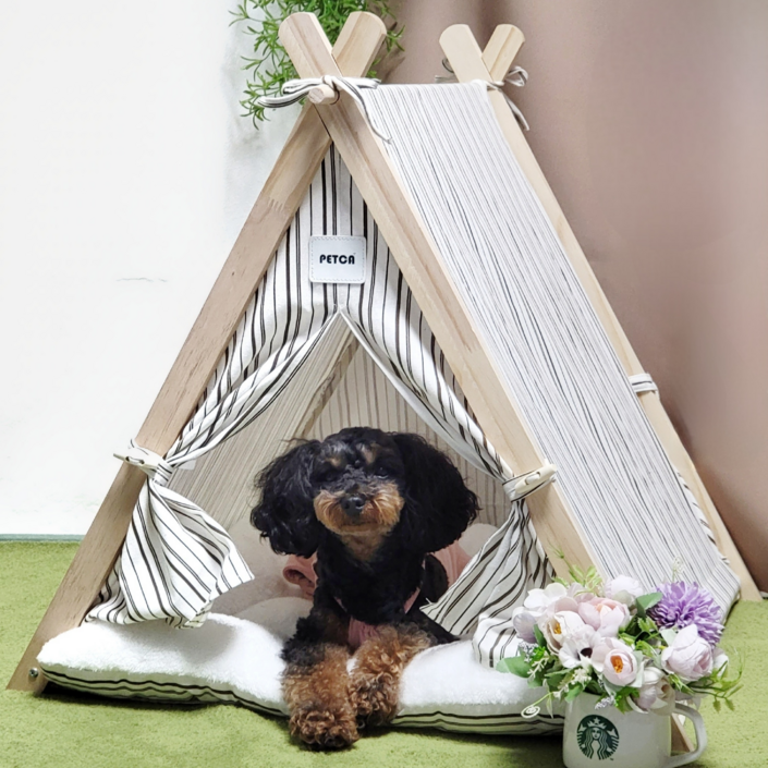 펫카,강아지 고양이 원목 인디언 텐트 하우스, 스트라이프 펫카,강아지 고양이 원목 인디언 텐트 하우스, 스트라이프