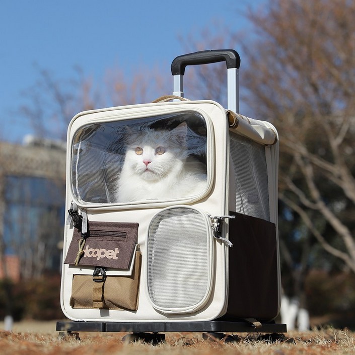 먀오샤오위안 대형 캔버스 반려동물 이동 가방 2in1  백팩캐리어, 통기성 우수 휴대용 멀티펫 여행 캐리어 강아지 고양이, 1개, 녹색주황색