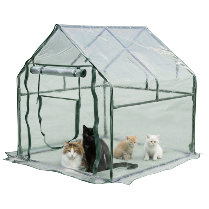 길냥이 고양이 비닐하우스 길고양이 겨울집