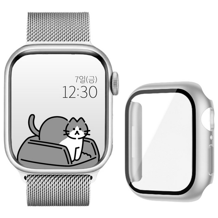 아이비온 애플워치 호환 밀레니즈 마그네틱 스트랩 + 풀커버 케이스 세트