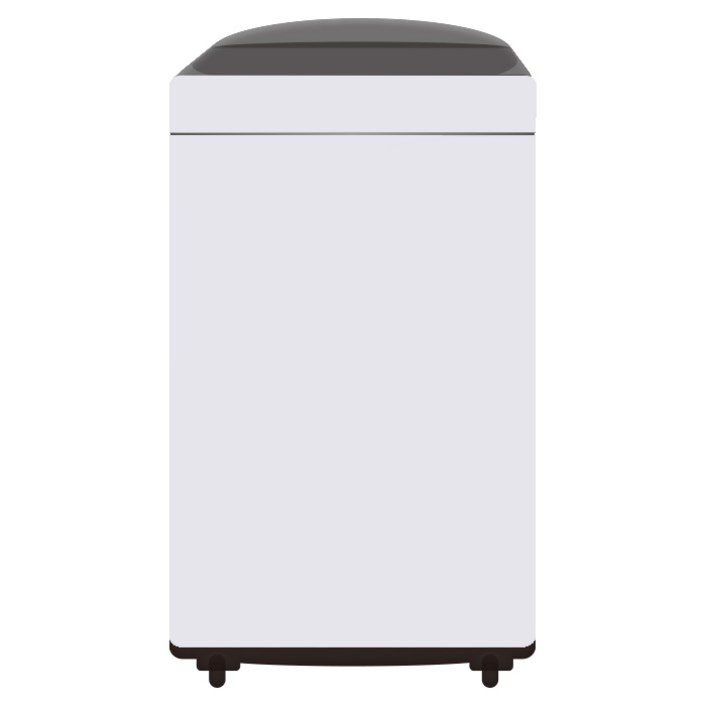 LG 10kg 통돌이세탁기 TR10WL