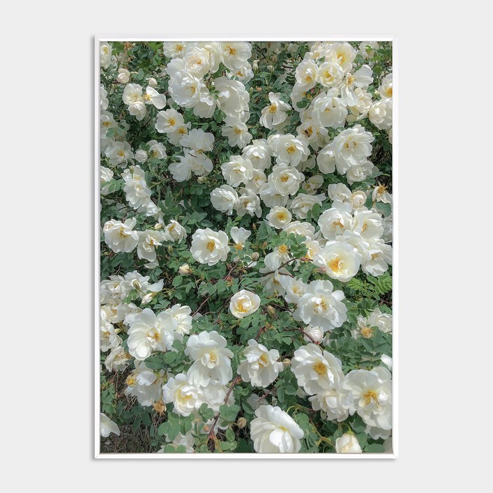 멜팅스튜디오 알루미늄 나의 유럽 모먼트 액자 세트 108번 Among the flowers