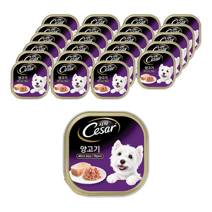 시저 1세 이상 강아지 주식캔