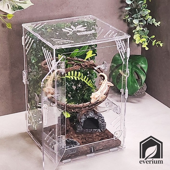에버리움 크레스티드 게코 도마뱀 아크릴 사육장 세트 - 소형 20x20x30cm