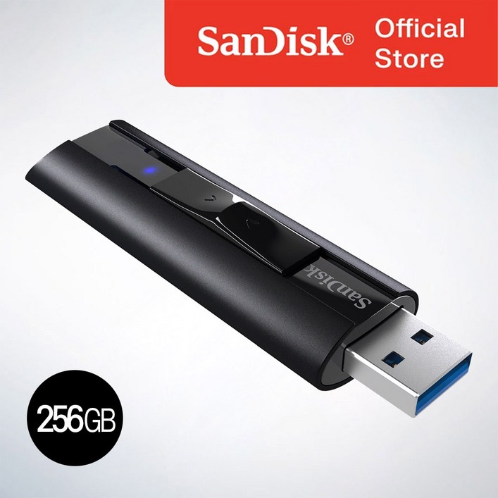 샌디스크 Extreme PRO USB 3.1 솔리드 스테이트 플래시 드라이브 SDCZ880