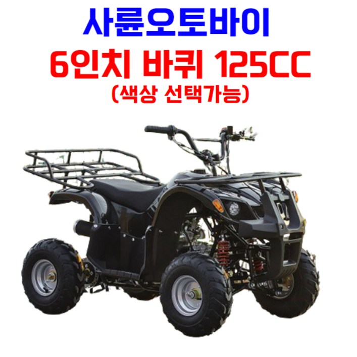 엑티쿼 사륜 오토바이 사발이 4륜 바이크 네발 산악 ATV 운반차 오프로드, 블랙, 01 6인치 125CC 엑티쿼 사륜 오토바이 사발이 4륜 바이크 네발 산악 ATV 운반차 오프로드, 블랙, 01 6인치 125CC