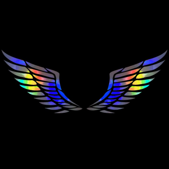 마이웨이카 자동차 천사 날개 스티커, 홀로그램, 1개 마이웨이카 자동차 천사 날개 스티커, 홀로그램, 1개
