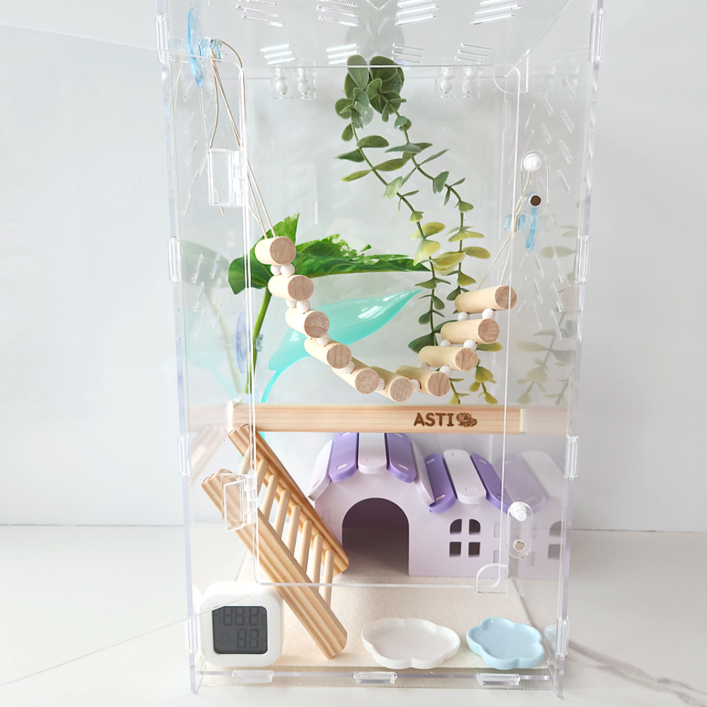 아스티렙 크레스티드 게코 아크릴 사육장 세트 20x20x35cm