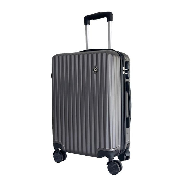 비기캐리어 뉴미르 기내용 중대형 수하물 여행용 하드 캐리어