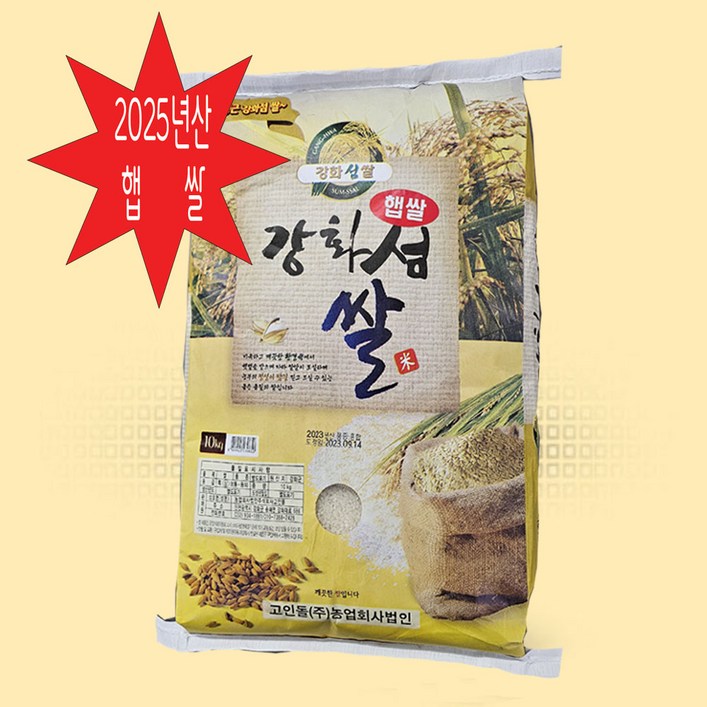 다해농산 쌀 2025년산 햅쌀 강화섬쌀 10KG