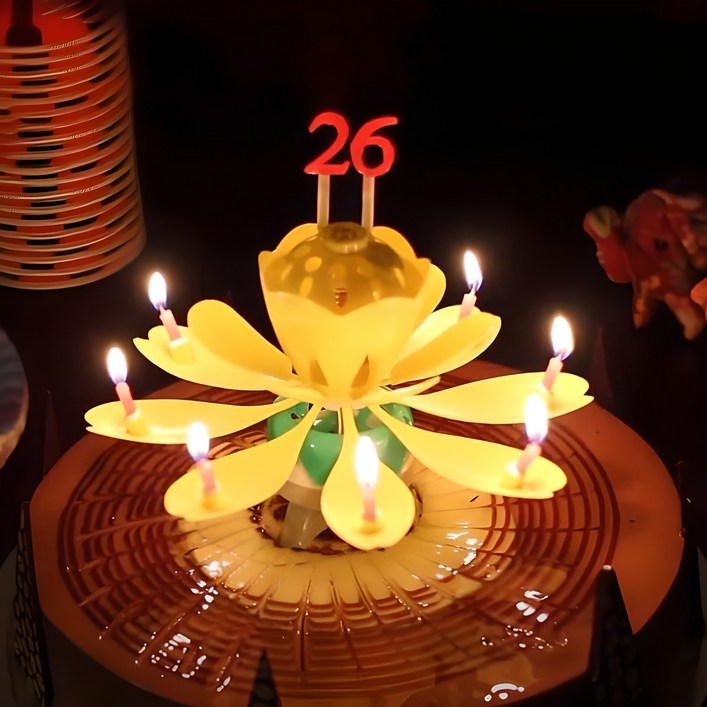 스토리빙 생일 축하 초 연꽃 멜로디 선물 파티 용품 + 숫자 토퍼 19p 세트