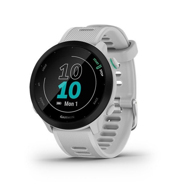 가민 Forerunner 55 러닝 스마트워치