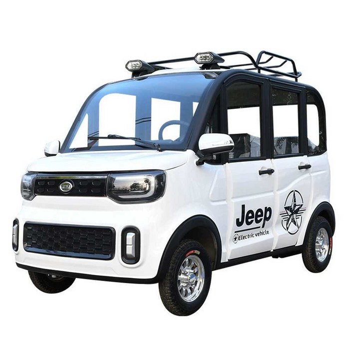 어르신 전동차 시골 근교 2인 미니 전기차 스쿠터