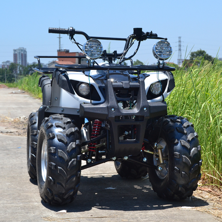ATV 125cc 엔진 4 륜 산악오프로드 귀농 오토바이 농업 차량 대륙에서 보물 찾기