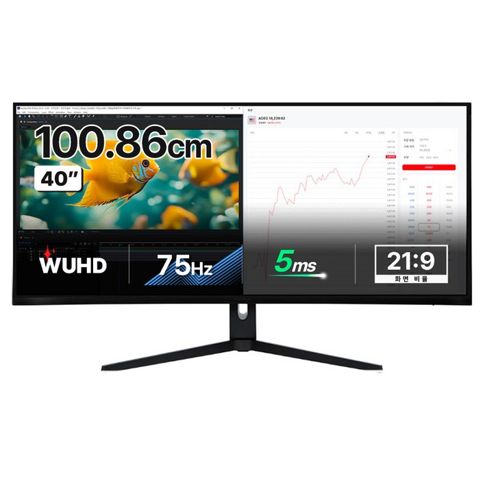 인터픽셀 5K WUHD NANO IPS 75Hz 높이조절 모니터, IPU4010무결점, 100.859cm