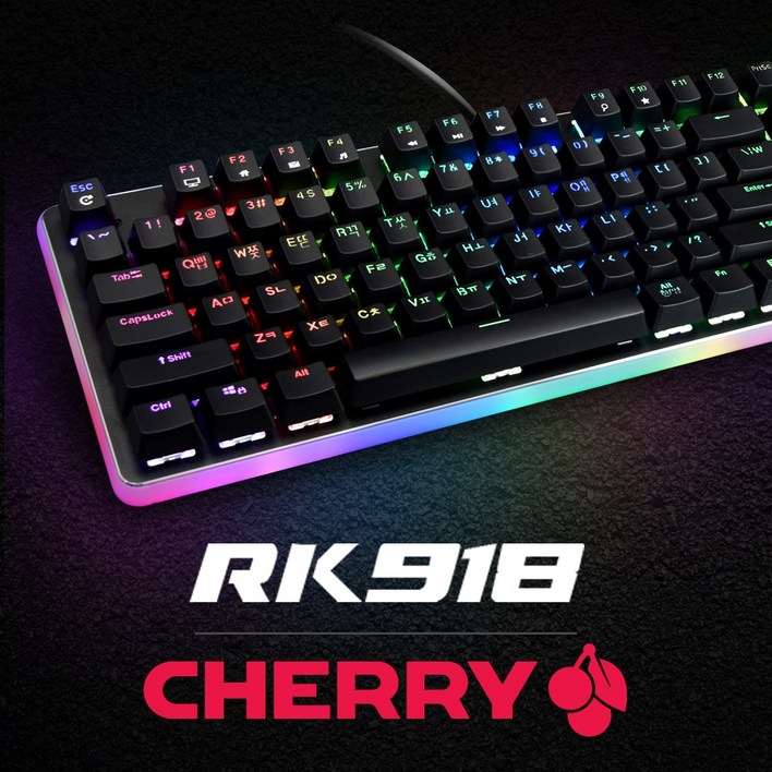 CHERRY 체리 기계식 유선키보드 RK918 체리키보드 게이밍키보드 체리청축