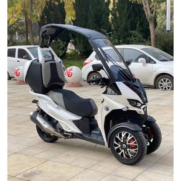 역삼륜 오토바이 캐노피 250cc 관부가세 배송비 포함 역삼륜 오토바이 캐노피 250cc 관부가세 배송비 포함